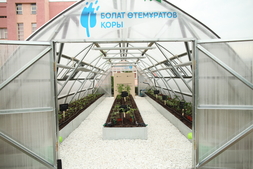 Kazakh schoolchildren will learn how to grow herbs and vegetables