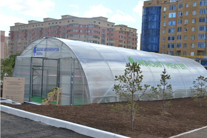  В Нур-Султане запустили проект «Зеленые школы»